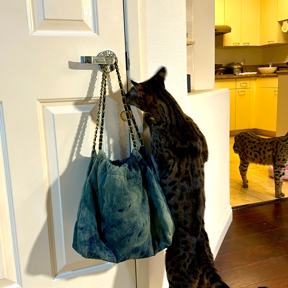 A nice denim hobo bag